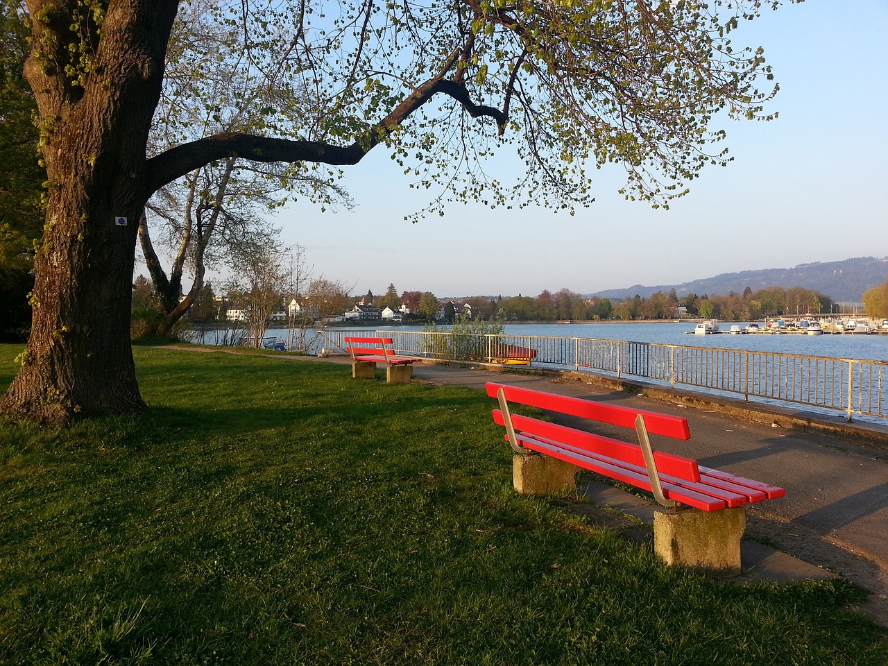 兰未来新主 兰未来新主