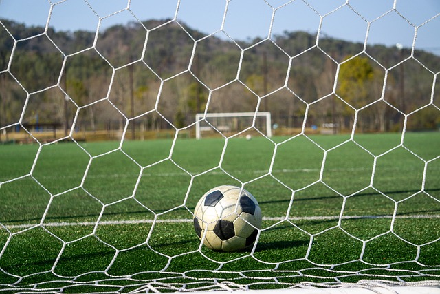 体育与学习 体育与学习