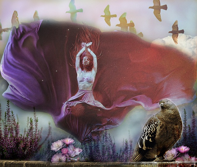 巴萨管理层 巴萨管理层