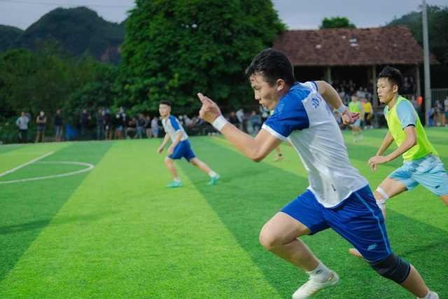 津门虎在比 津门虎在比