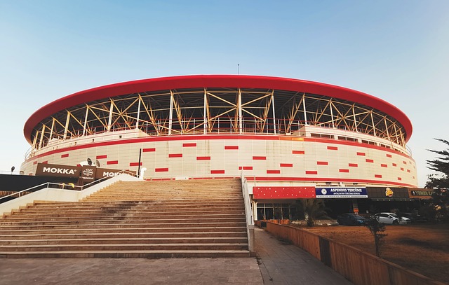 塔图姆与队 塔图姆与队