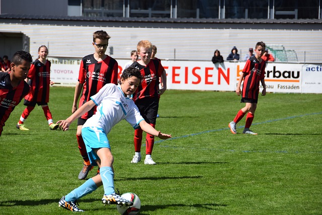 以充分利用 以充分利用