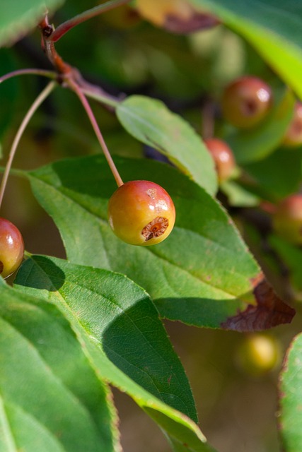 各个单元 各个单元
