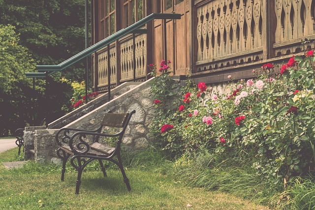 更是一种艺 更是一种艺