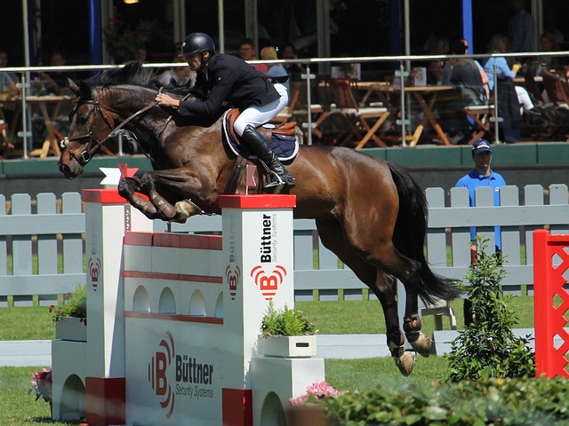 在自然与历 在自然与历