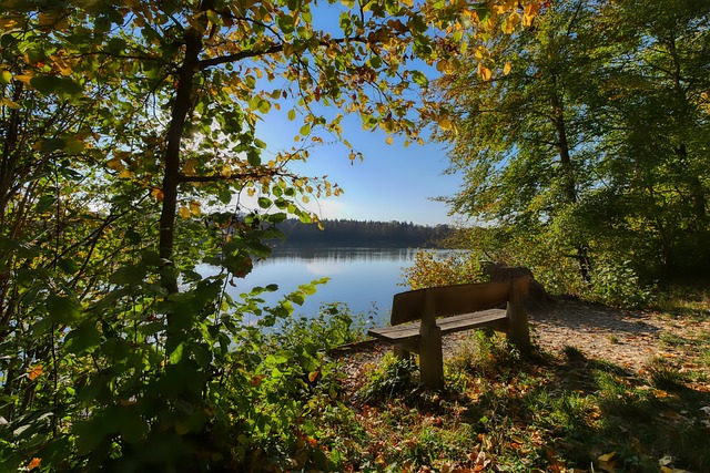自她们携手 自她们携手