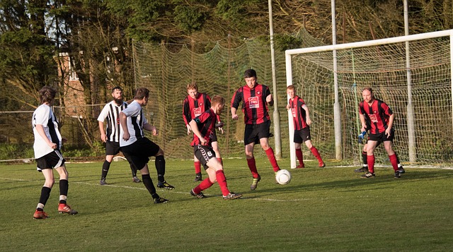 然而可以肯 然而可以肯