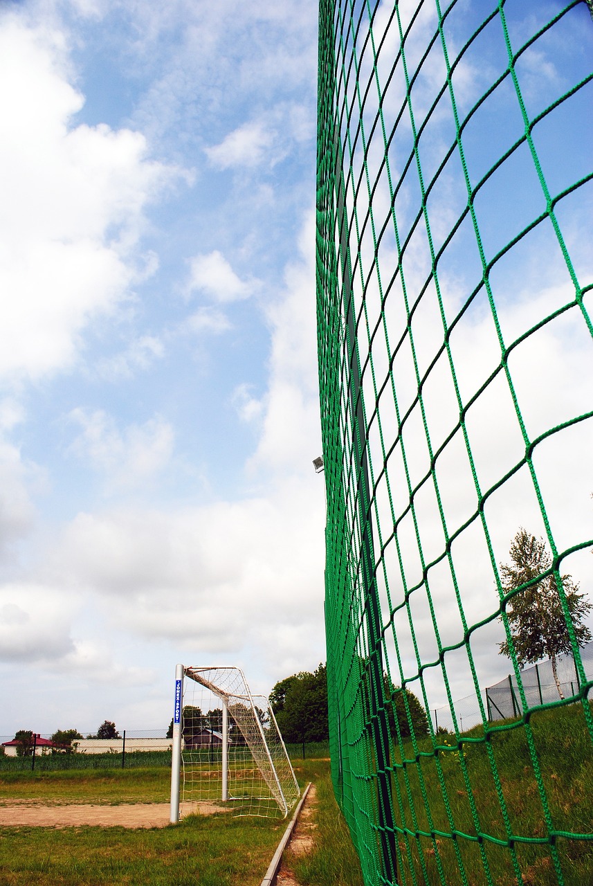 工具人选手 工具人选手