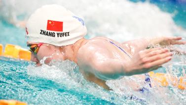 利用出色的 利用出色的