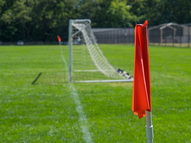 总体来看 总体来看